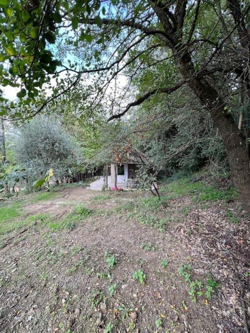 Eco-Chic Retreat: Countryside Oasis Near Florence Pozzolatico Bagian luar foto