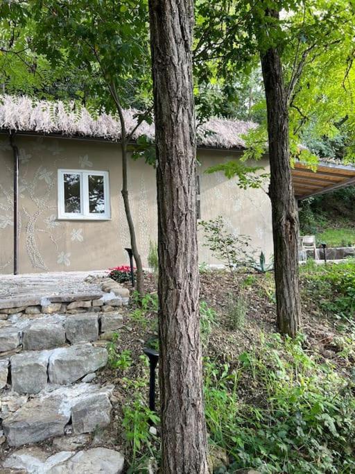 Eco-Chic Retreat: Countryside Oasis Near Florence Pozzolatico Bagian luar foto